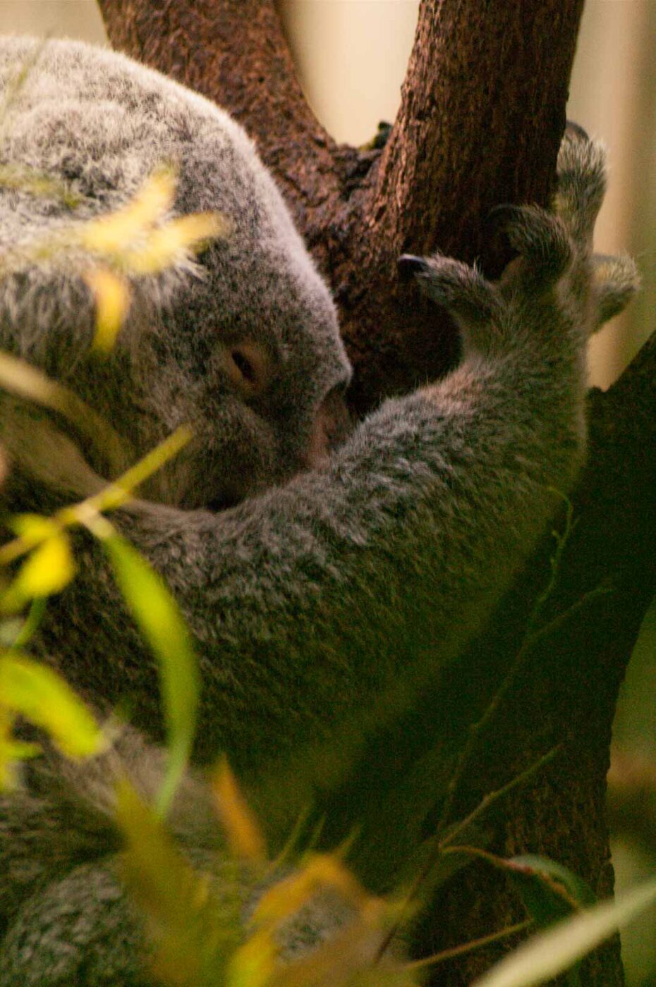 2016-10-05 - Zoo Duisburg
