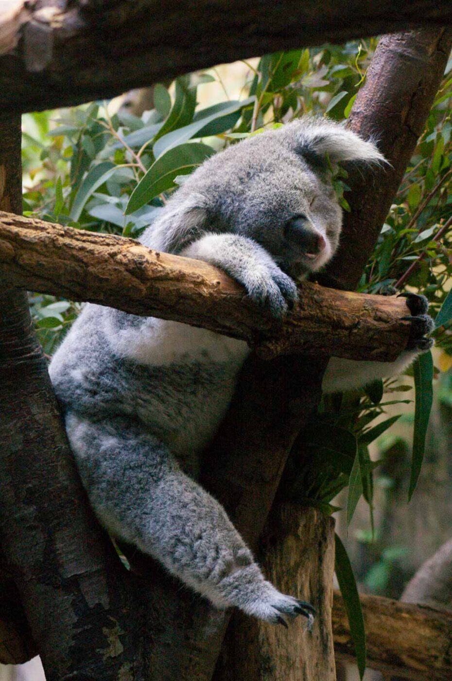 2016-10-05 - Zoo Duisburg