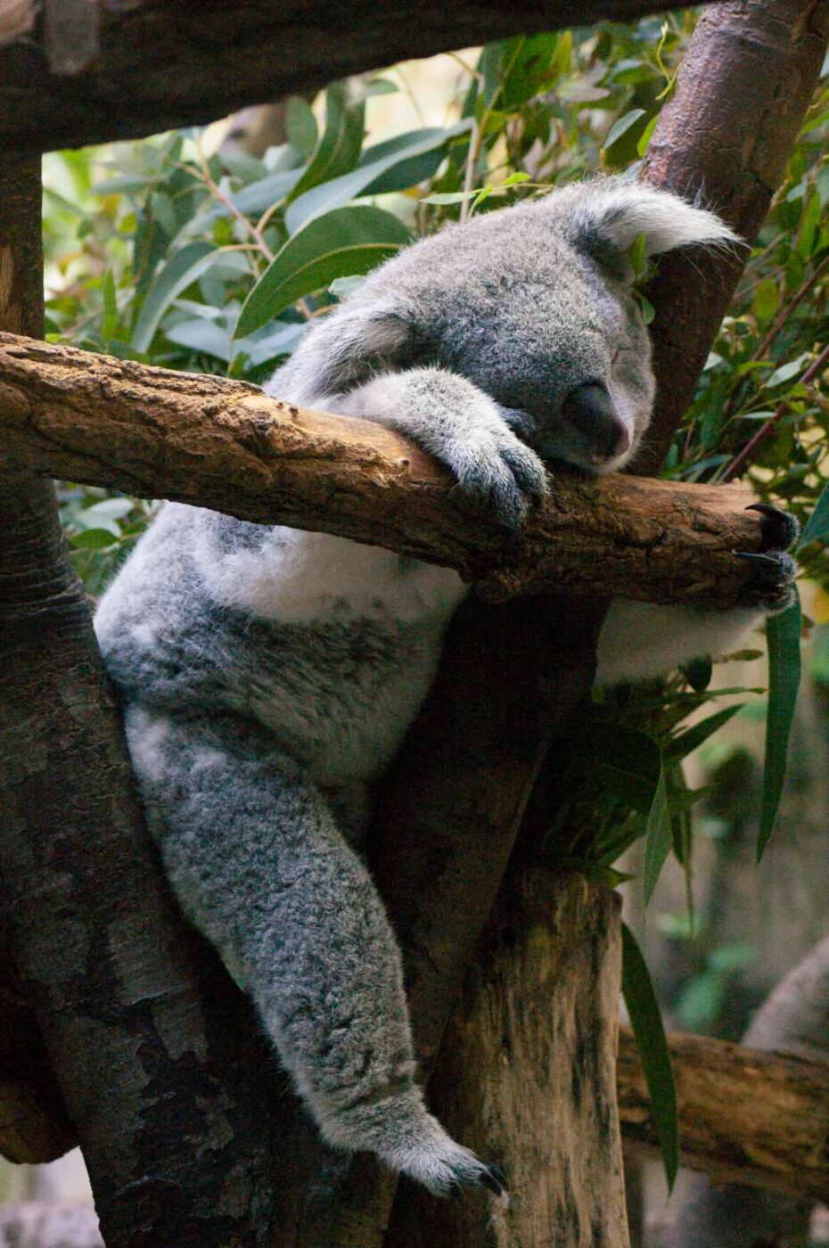 2016-10-05 - Zoo Duisburg