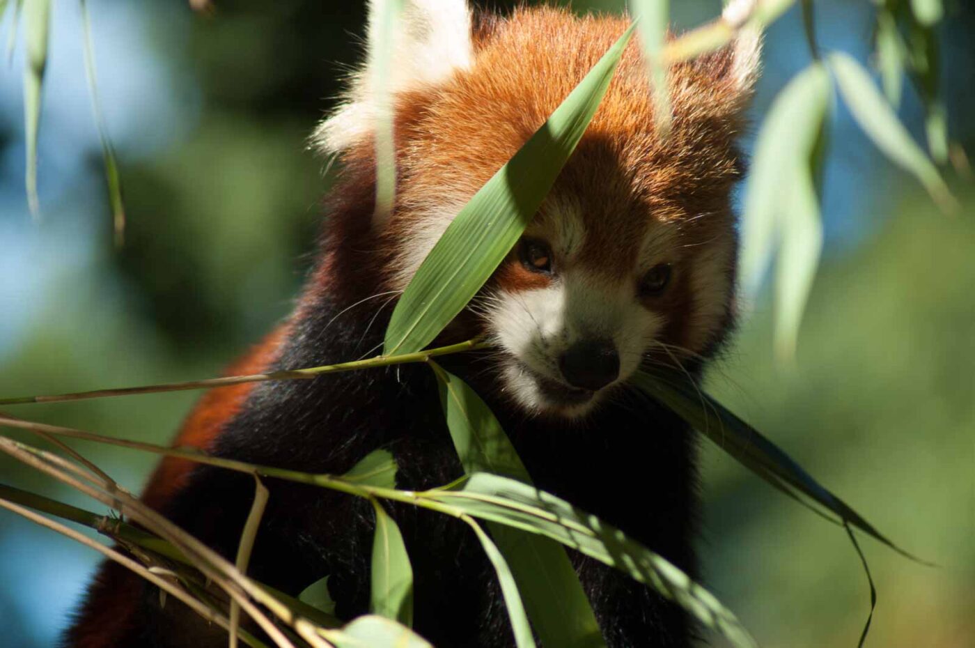 2016-10-05 - Zoo Duisburg