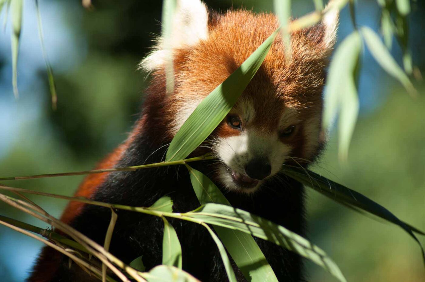 2016-10-05 - Zoo Duisburg