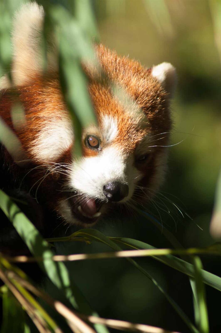 2016-10-05 - Zoo Duisburg