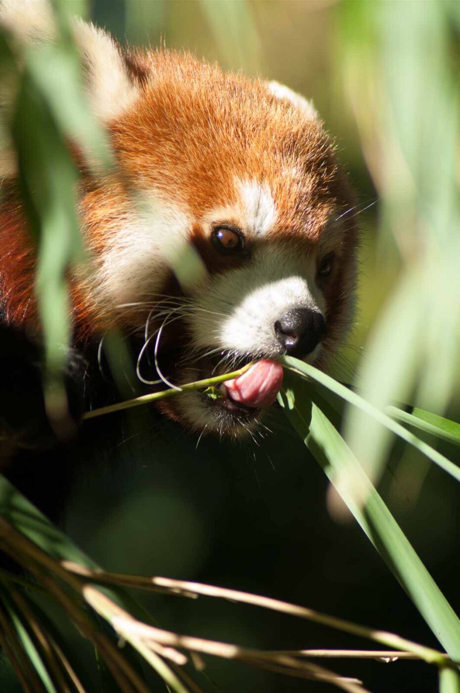 2016-10-05 - Zoo Duisburg