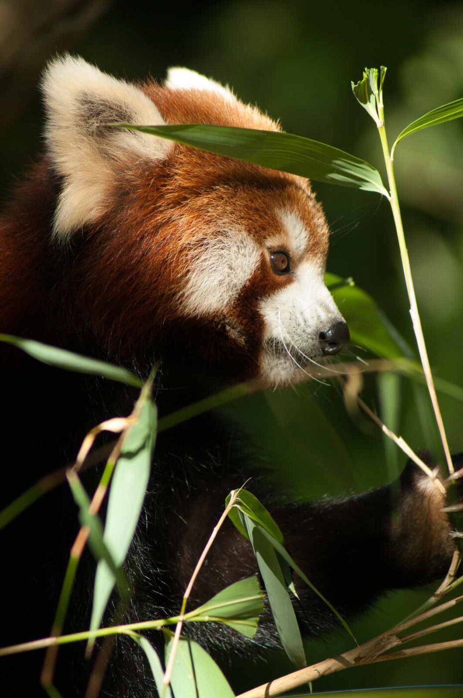 2016-10-05 - Zoo Duisburg