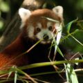 2016-10-05 - Zoo Duisburg