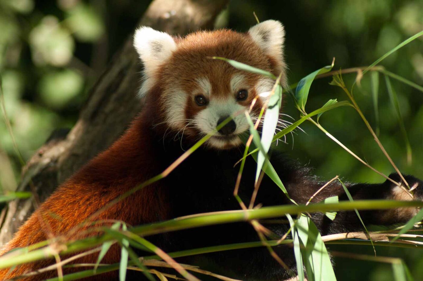 2016-10-05 - Zoo Duisburg