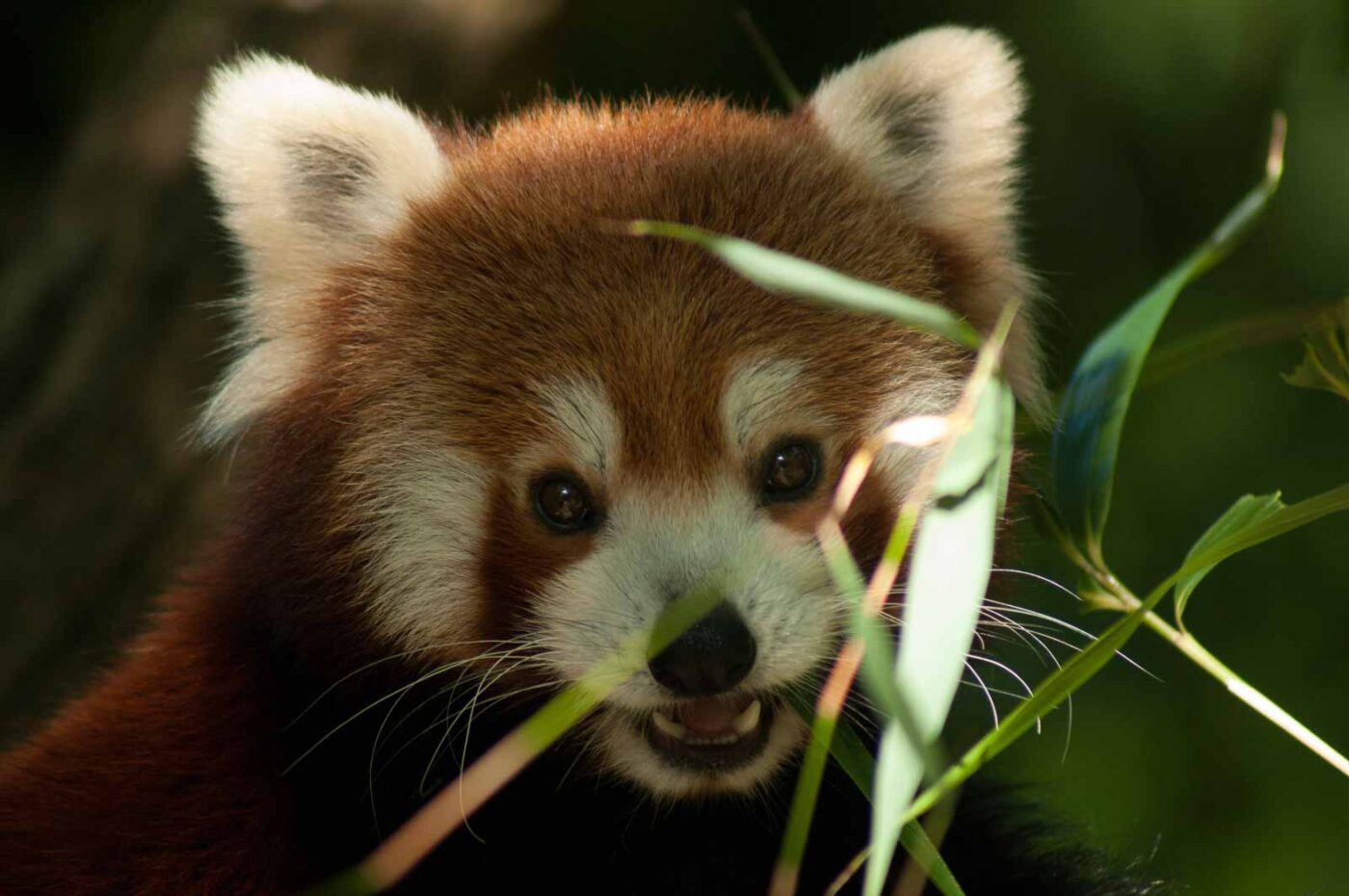 2016-10-05 - Zoo Duisburg