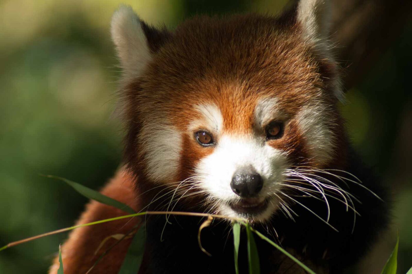 2016-10-05 - Zoo Duisburg