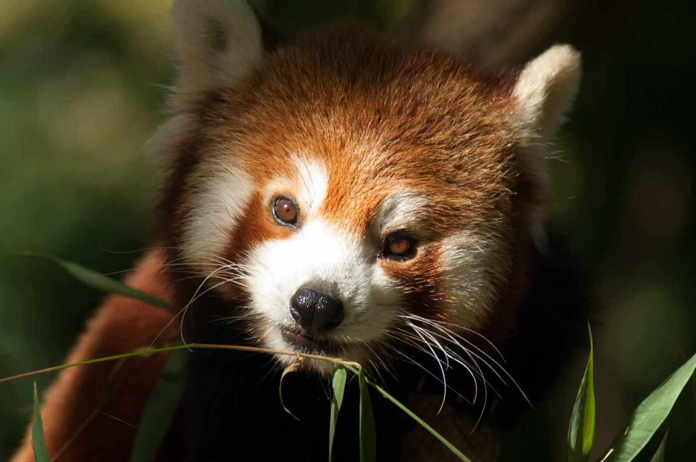 2016-10-05 - Zoo Duisburg