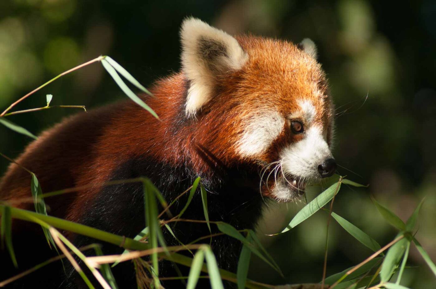 2016-10-05 - Zoo Duisburg