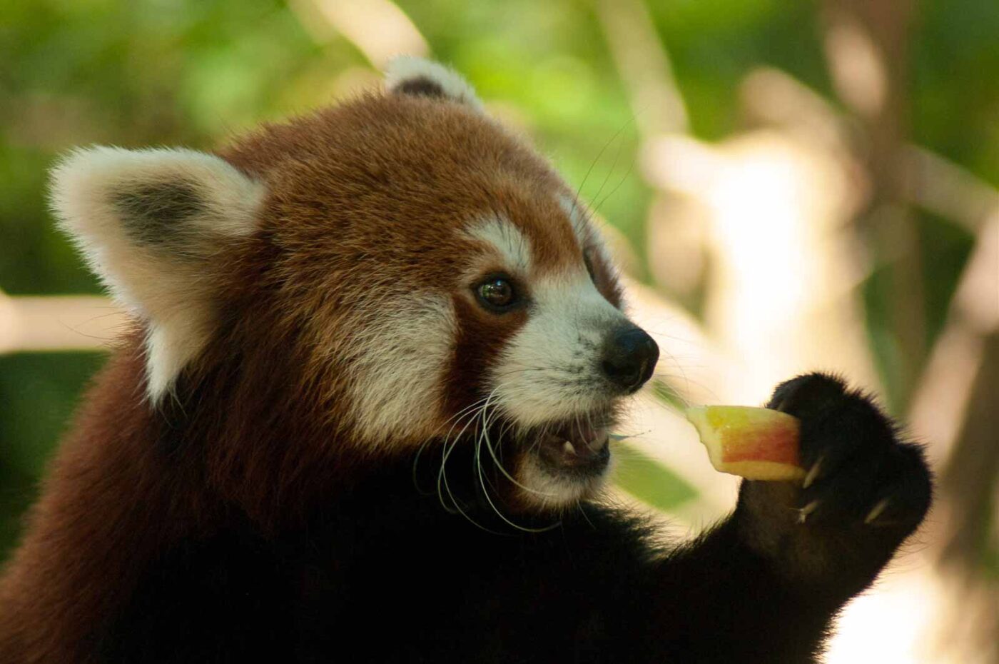 2016-10-05 - Zoo Duisburg