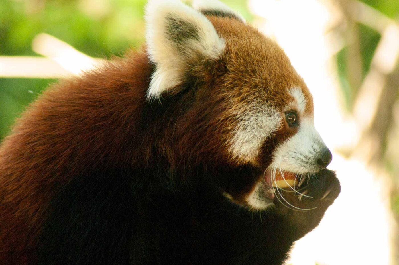 2016-10-05 - Zoo Duisburg