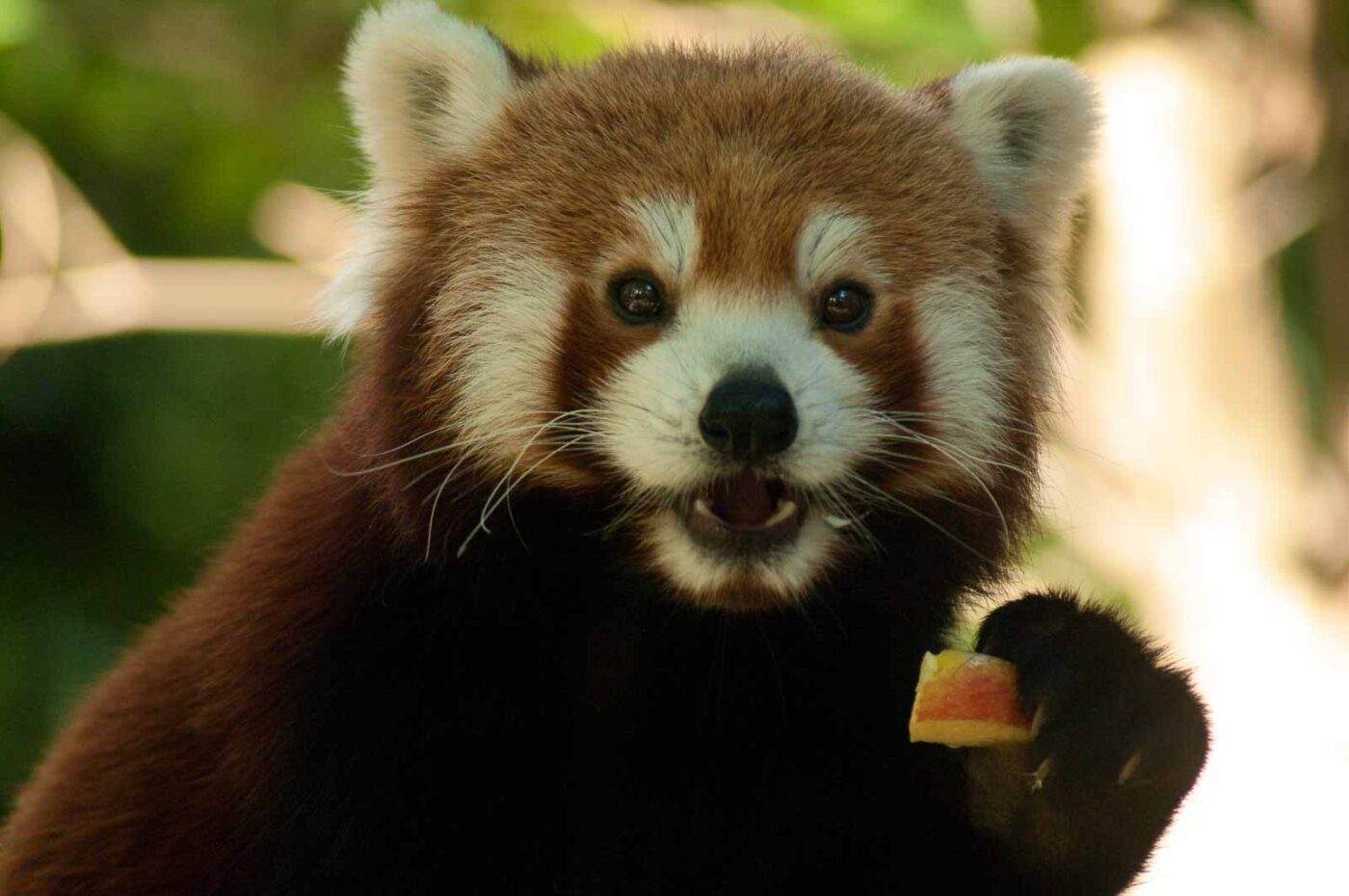 2016-10-05 - Zoo Duisburg