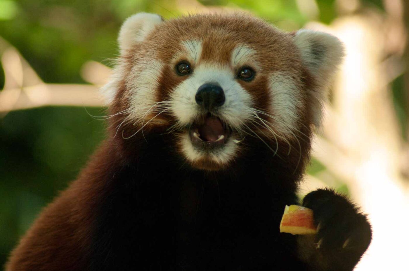 2016-10-05 - Zoo Duisburg