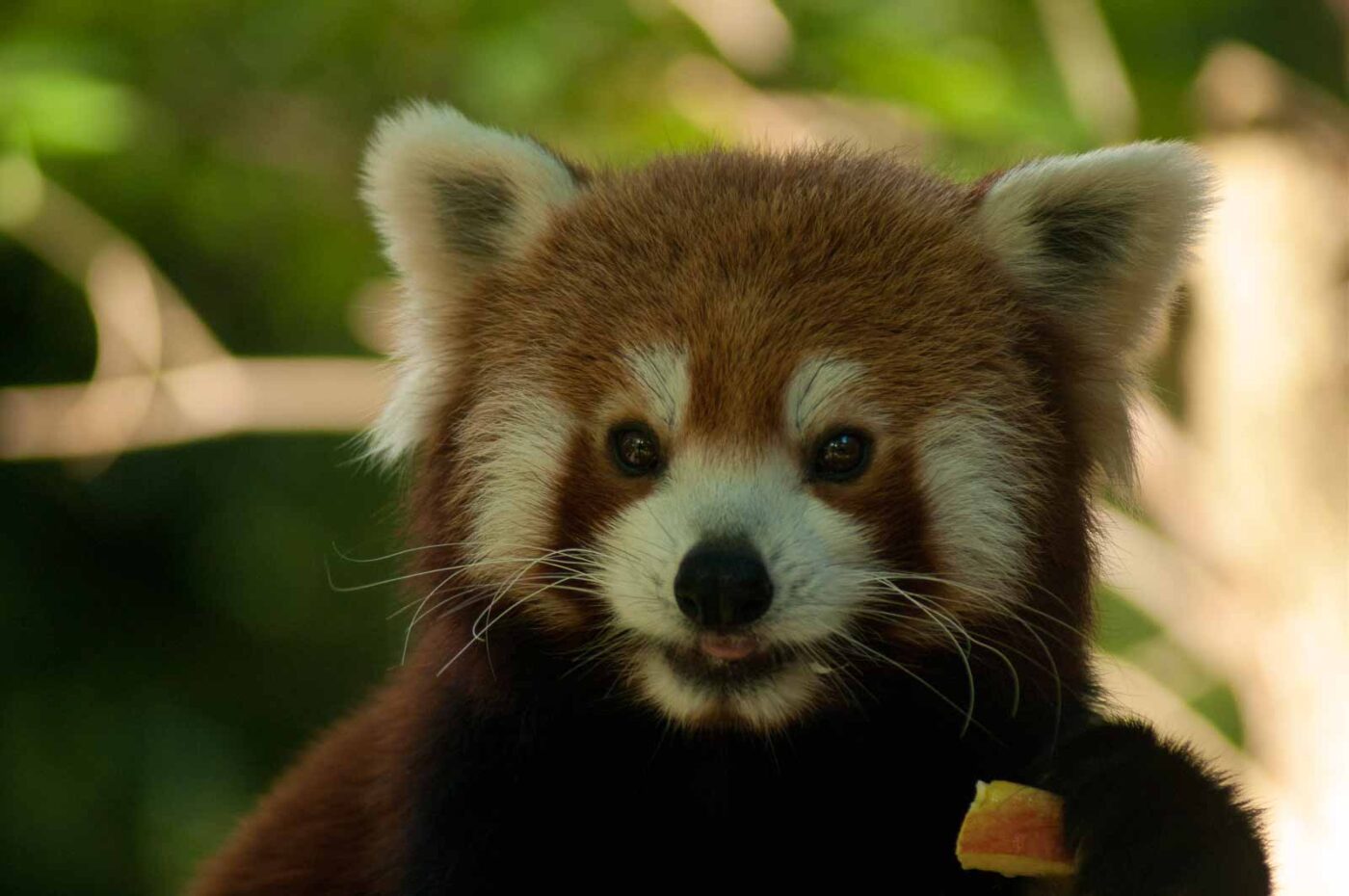 2016-10-05 - Zoo Duisburg