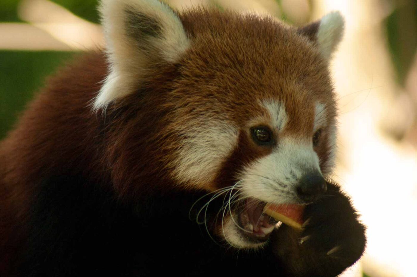 2016-10-05 - Zoo Duisburg