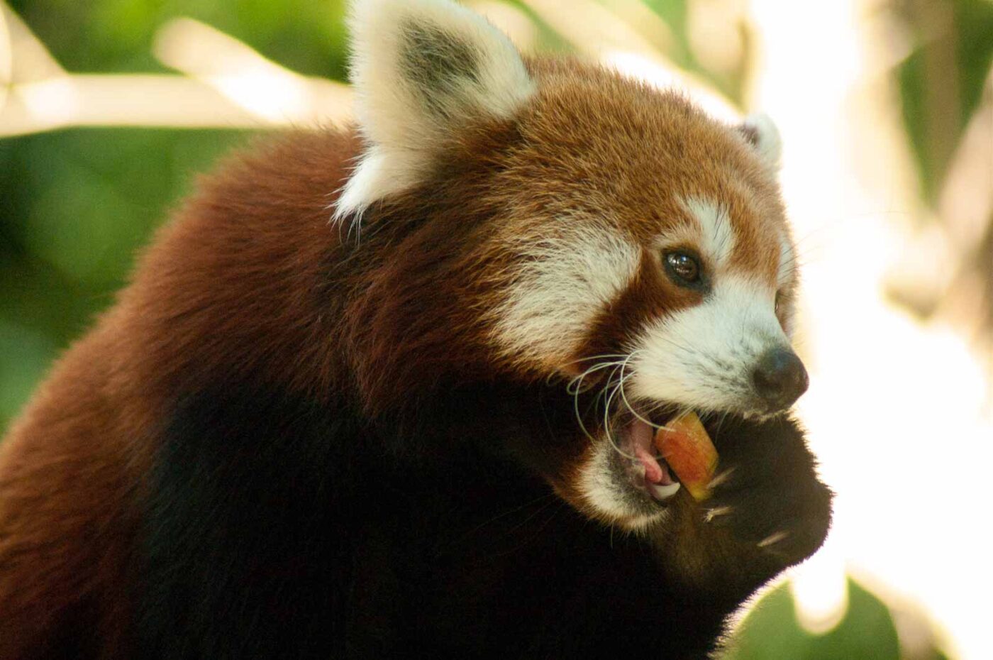 2016-10-05 - Zoo Duisburg