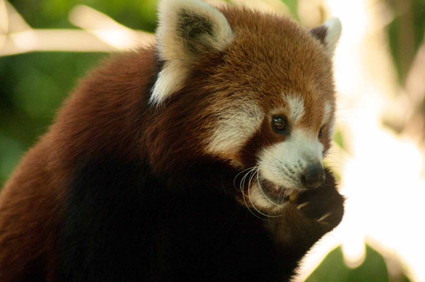 2016-10-05 - Zoo Duisburg