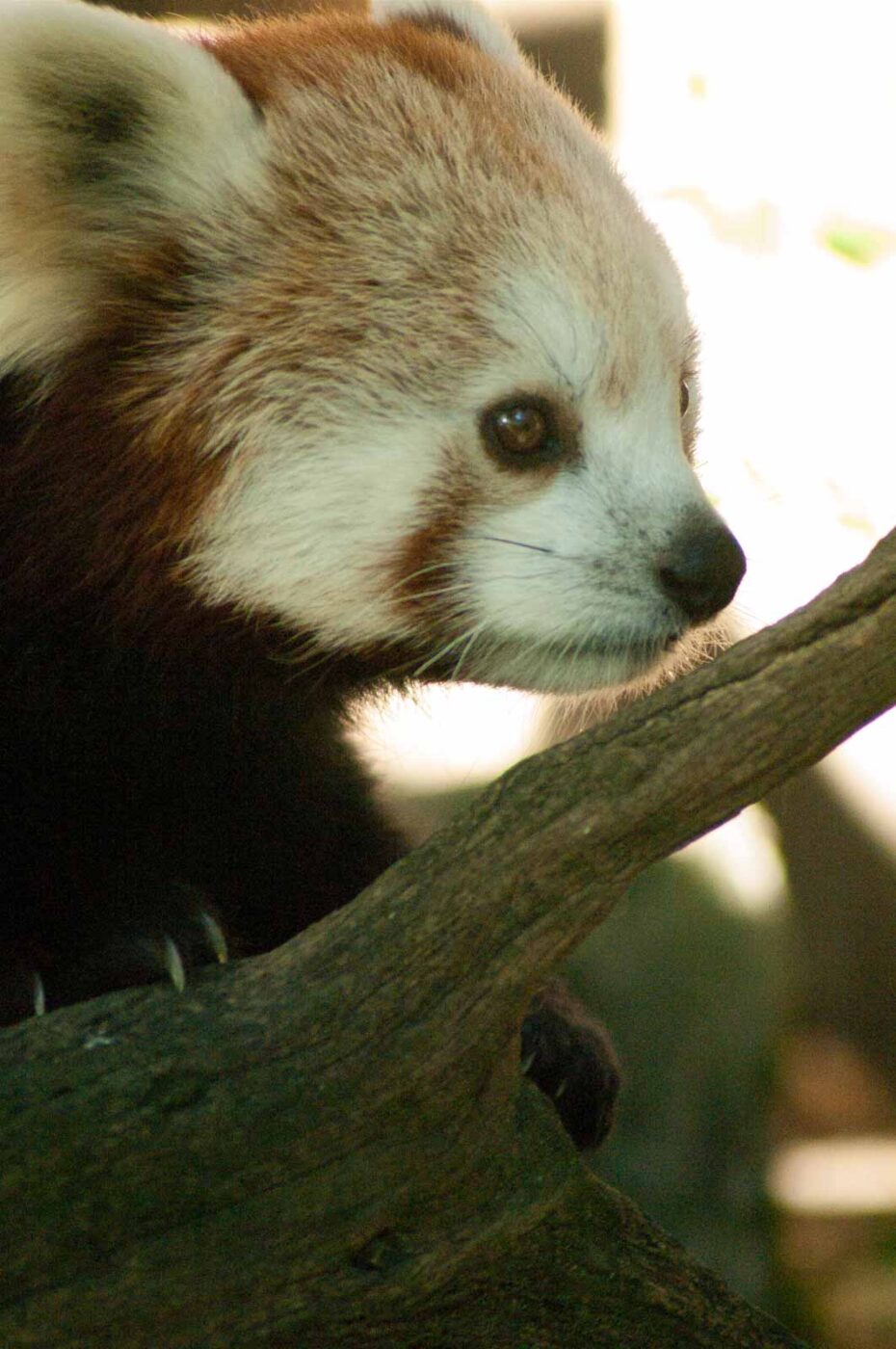 2016-10-05 - Zoo Duisburg