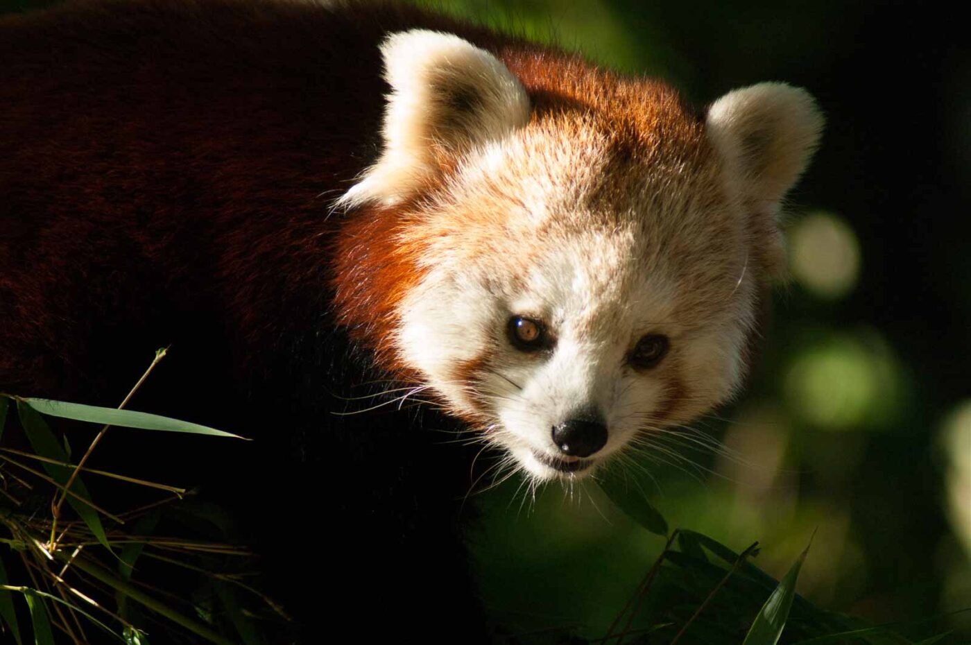 2016-10-05 - Zoo Duisburg