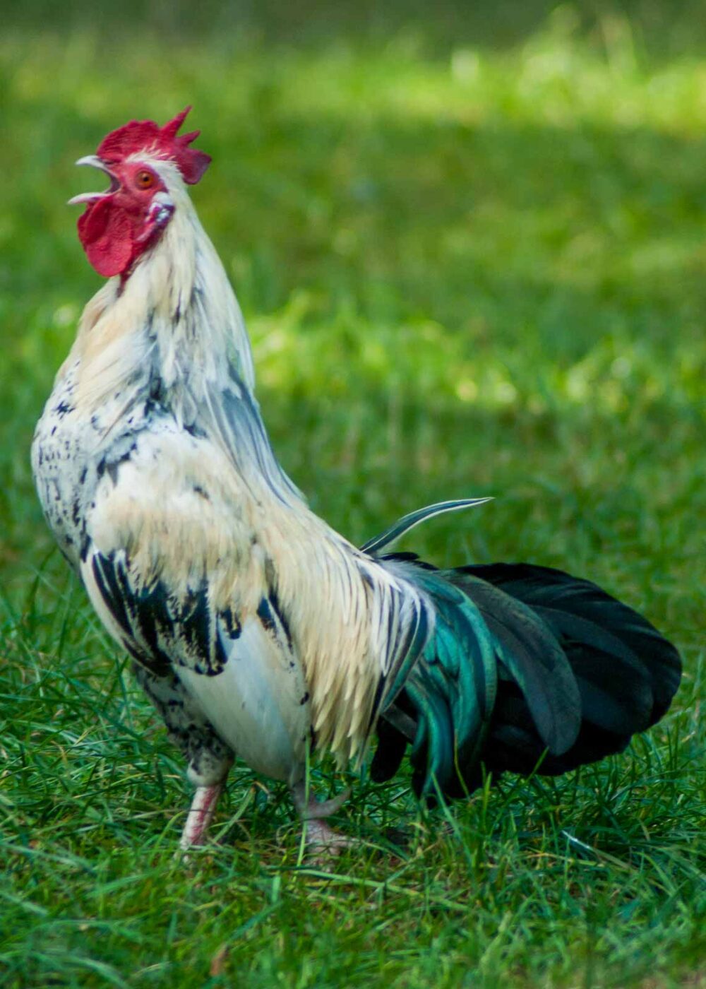 2016-10-05 - Zoo Duisburg