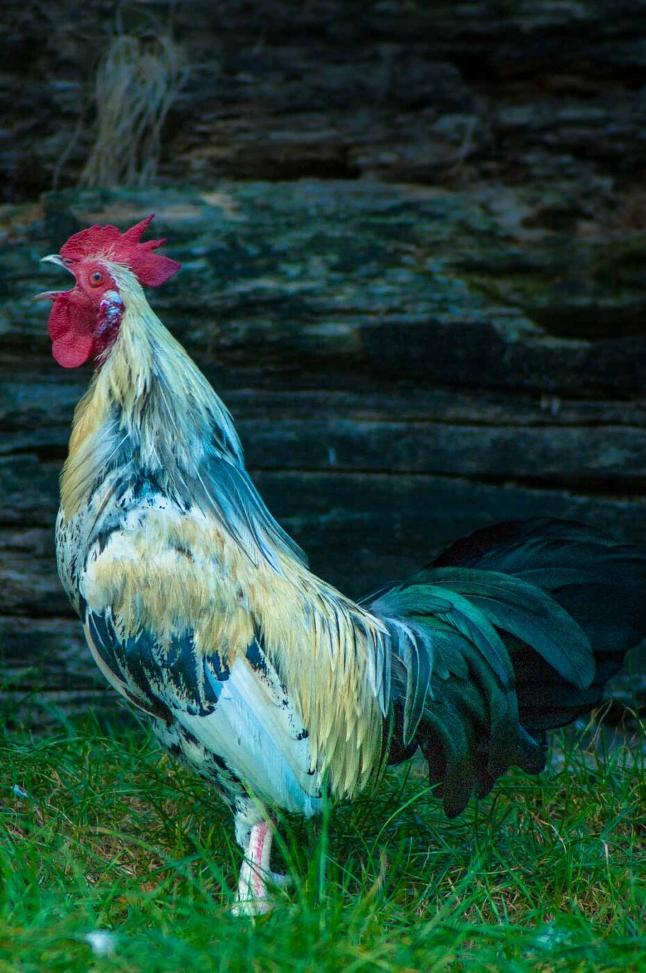 2016-10-05 - Zoo Duisburg