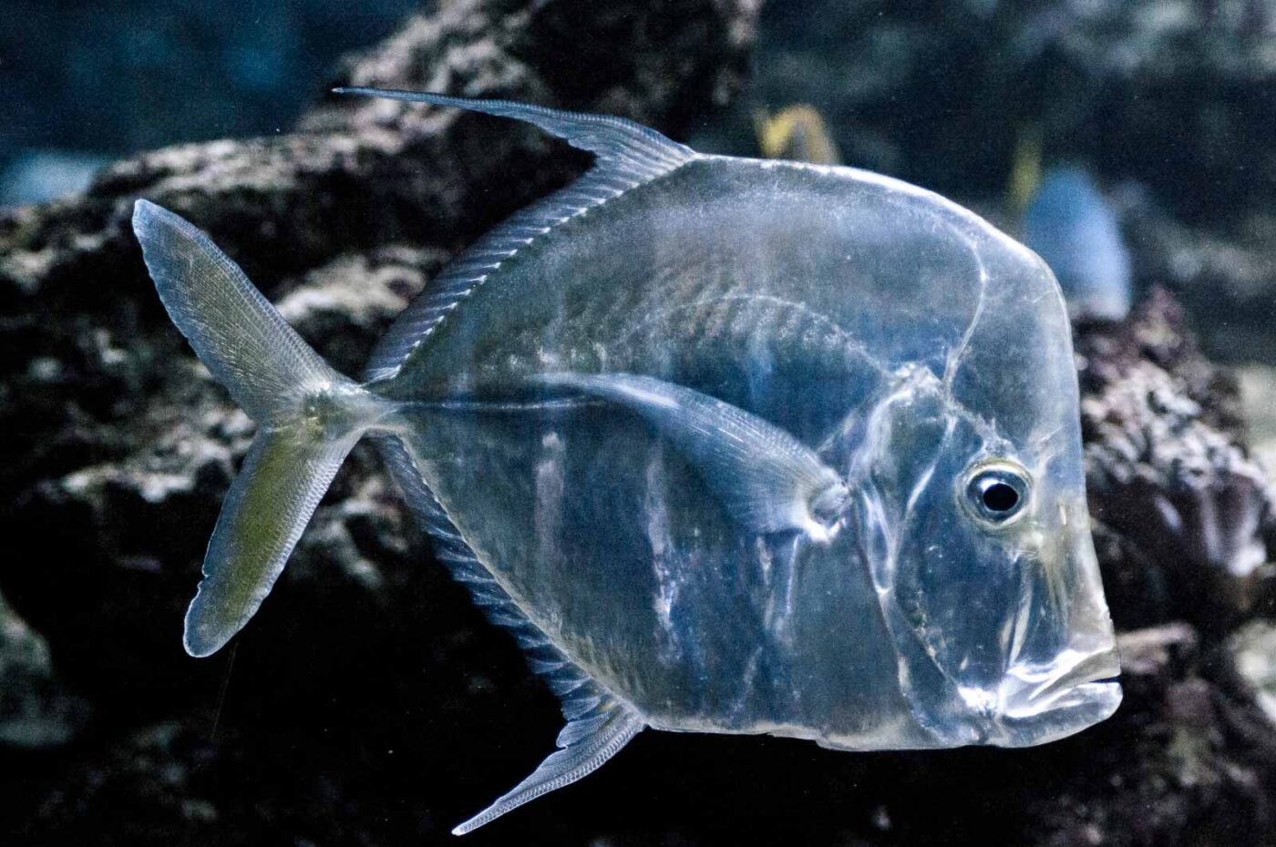 2016-10-05 - Zoo Duisburg