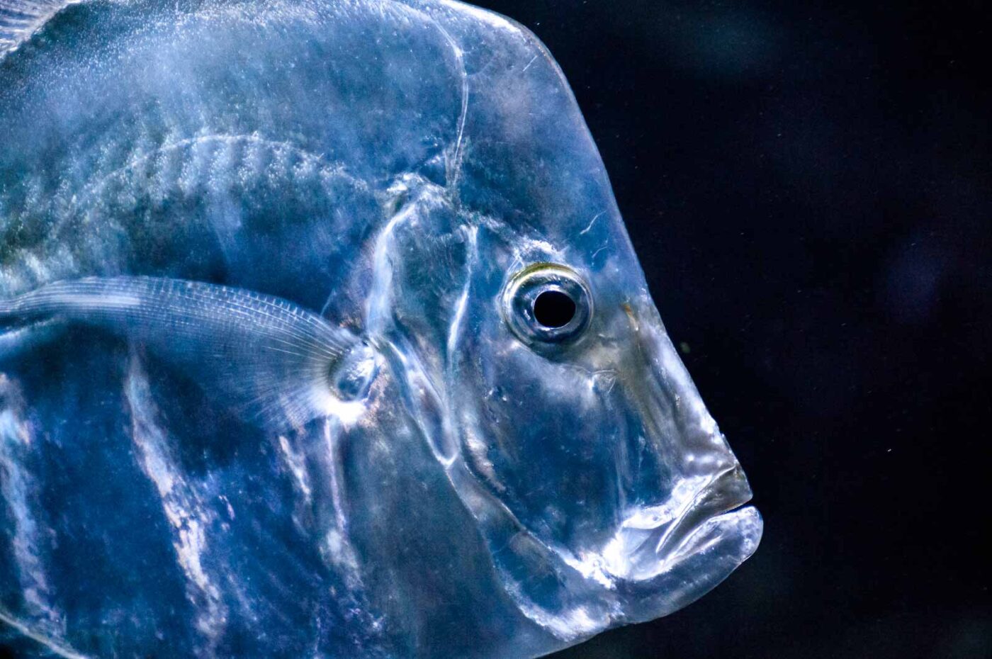 2016-10-05 - Zoo Duisburg