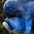 2016-10-05 - Zoo Duisburg