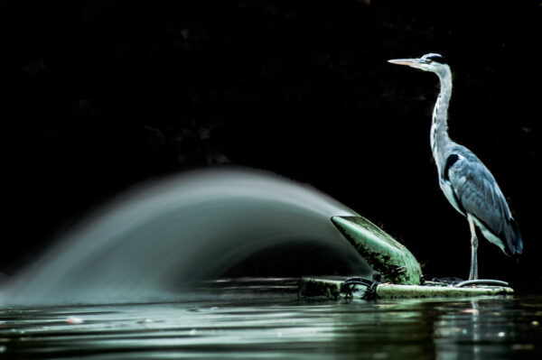 2016-10-05 - Zoo Duisburg