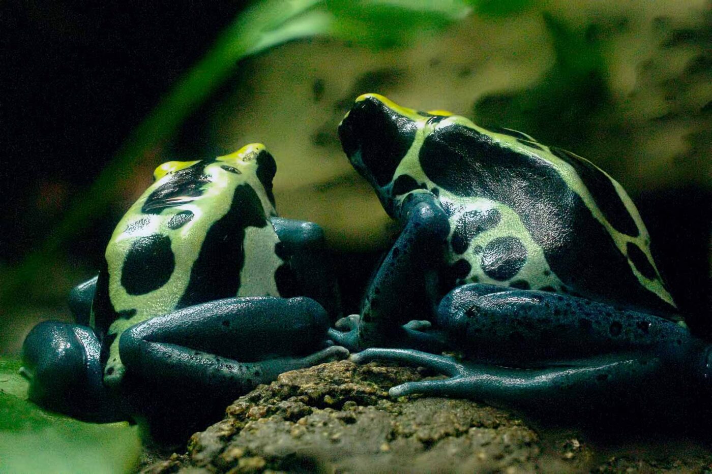 2016-09-18 - Grüner Zoo Wuppertal