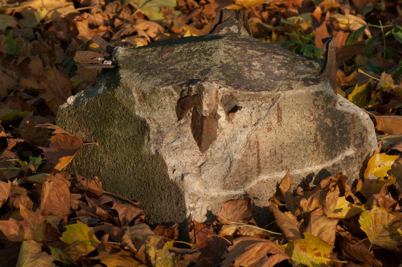 2016-11-12 - NSG Halde Pluto-Wilhelm HER-Wanne