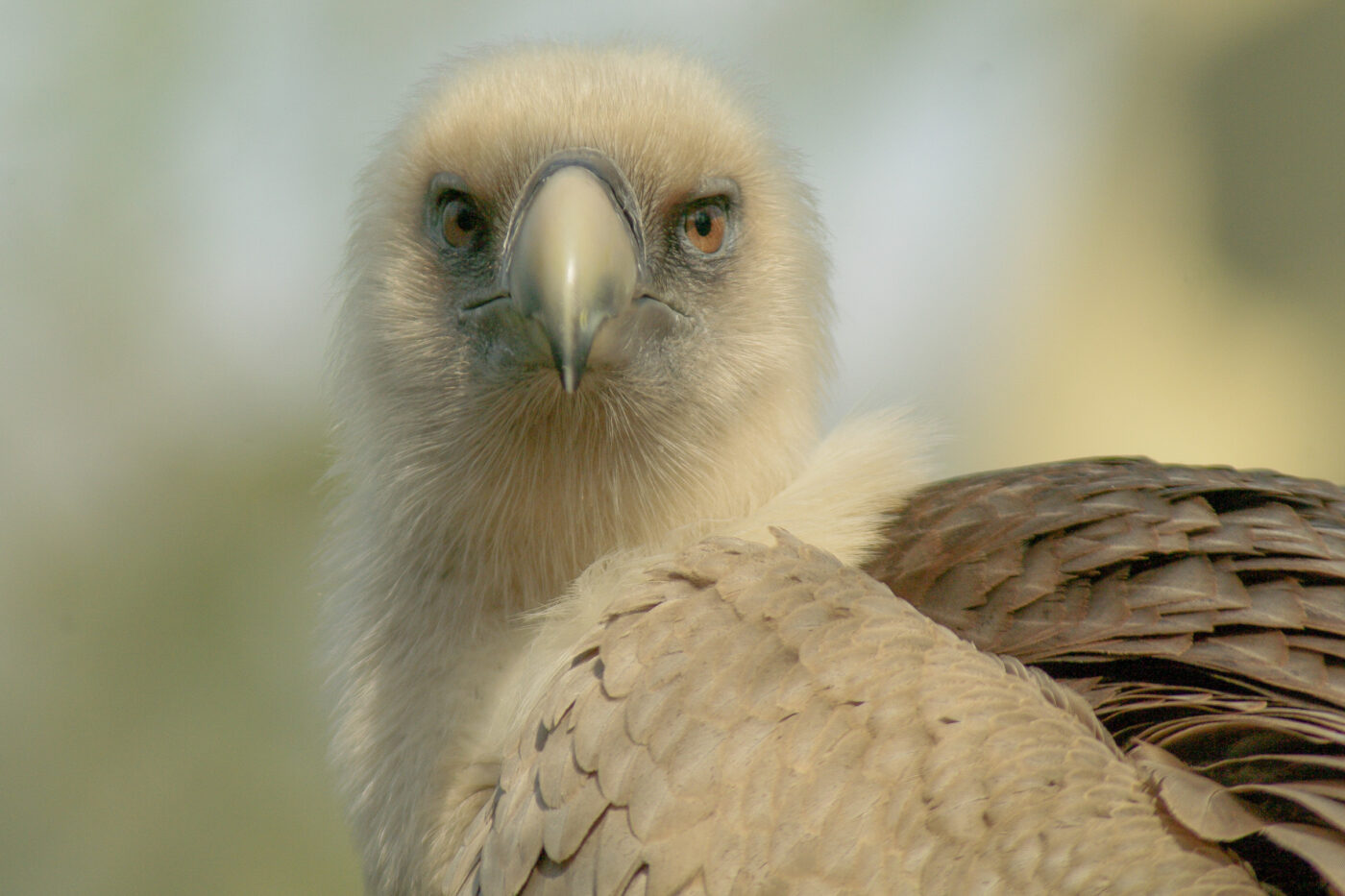 2016-03-10 - Allwetterzoo Münster