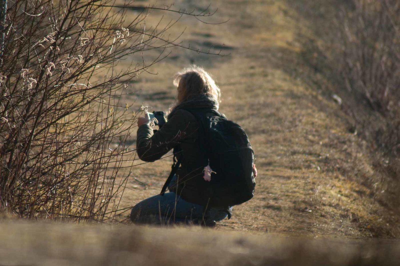 2017-02-13 - NSG Halde Pluto