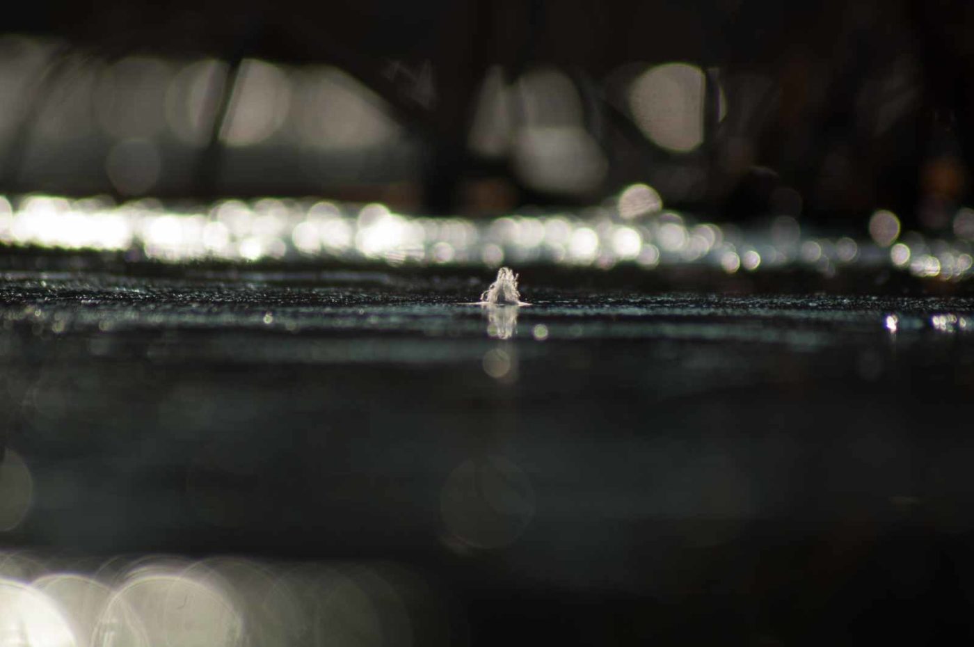 2017-02-13 - NSG Halde Pluto