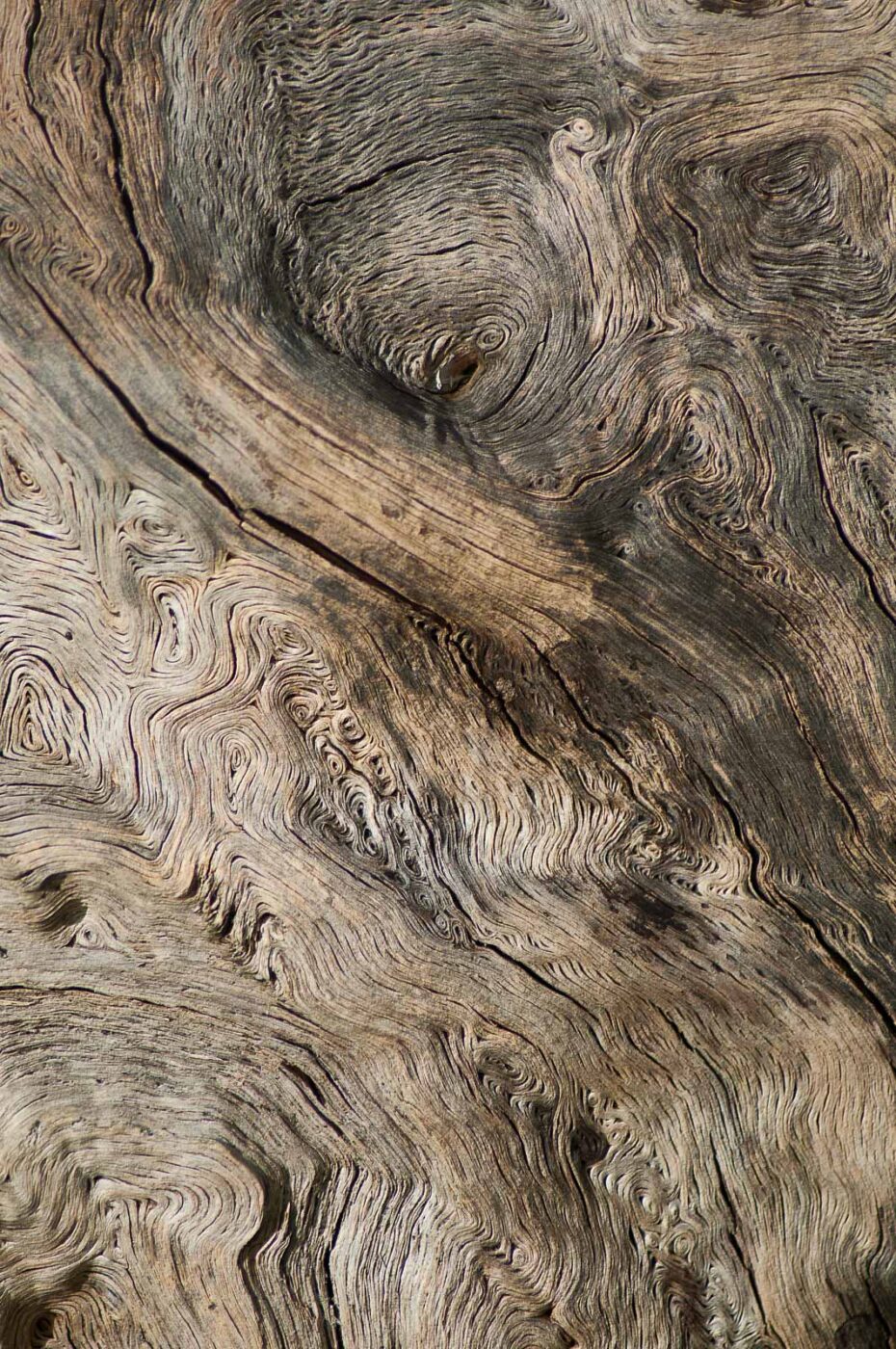 2017-03-16 - NSG Brandheide Recklinghausen