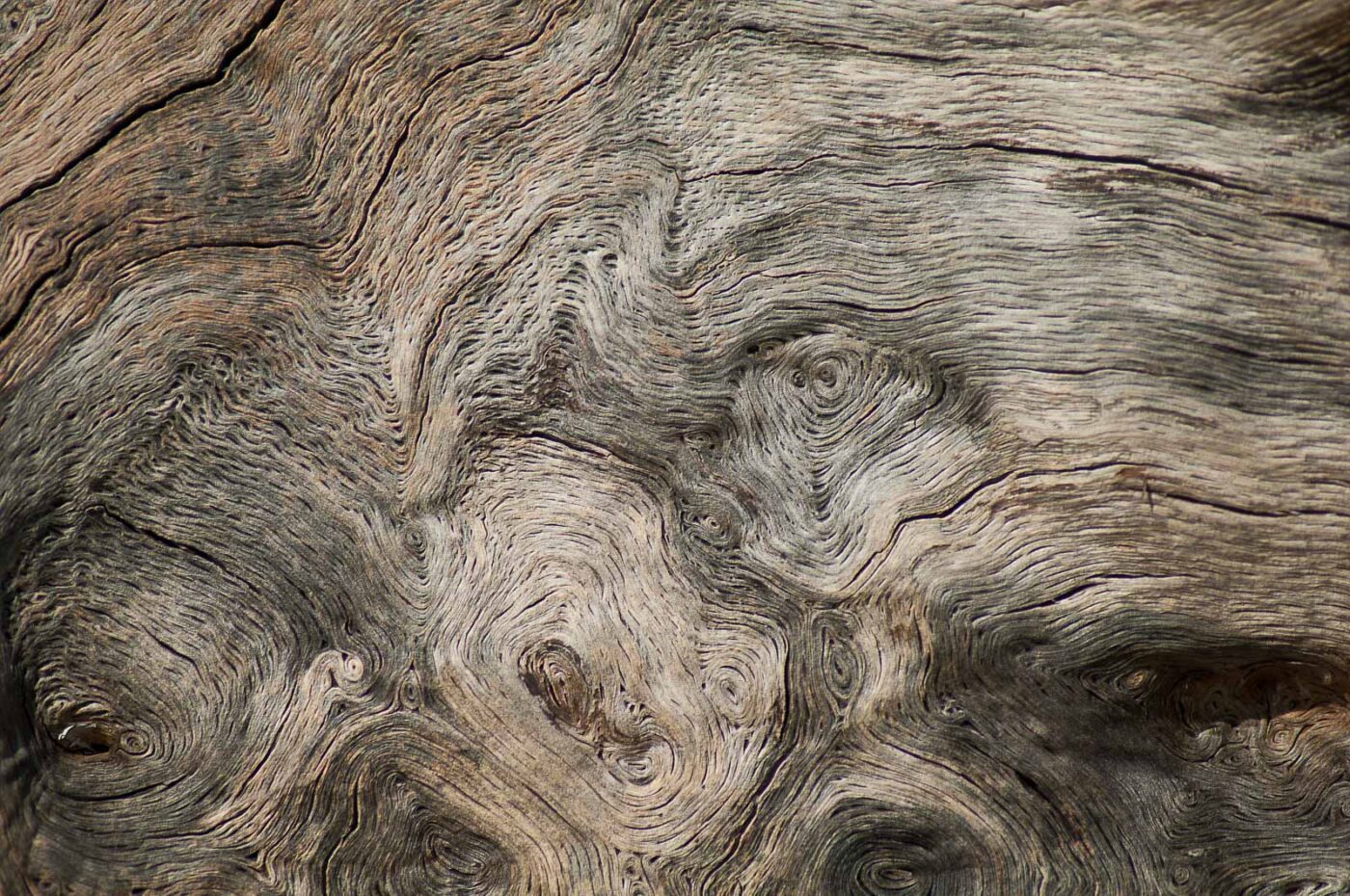 2017-03-16 - NSG Brandheide Recklinghausen