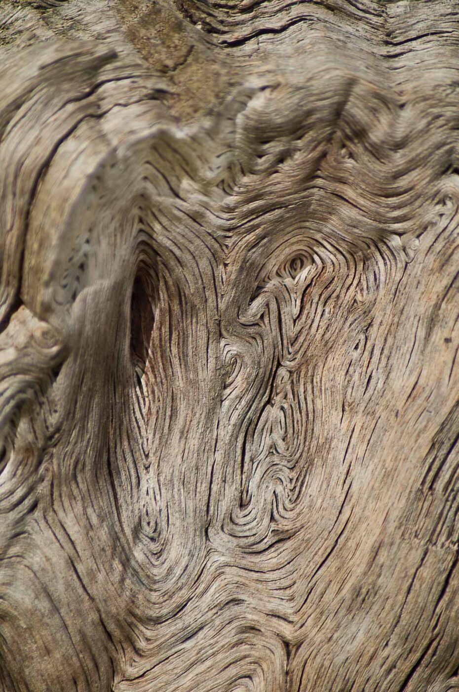 2017-03-16 - NSG Brandheide Recklinghausen