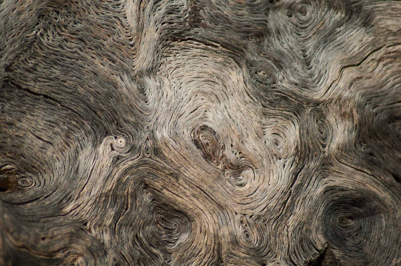 2017-03-16 - NSG Brandheide Recklinghausen