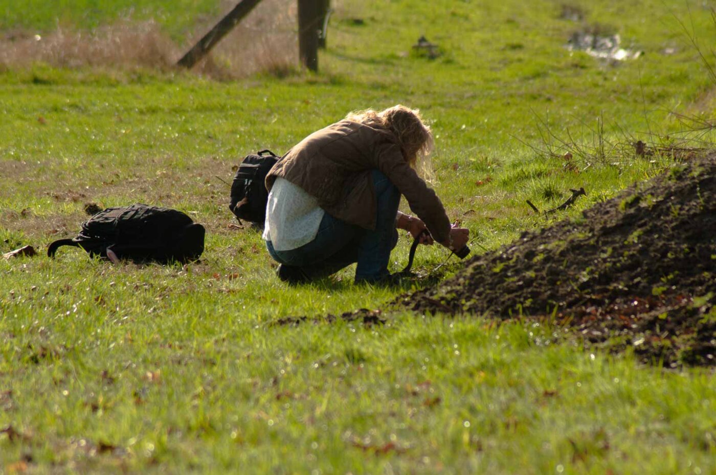 2017-03-16 - NSG Brandheide Recklinghausen