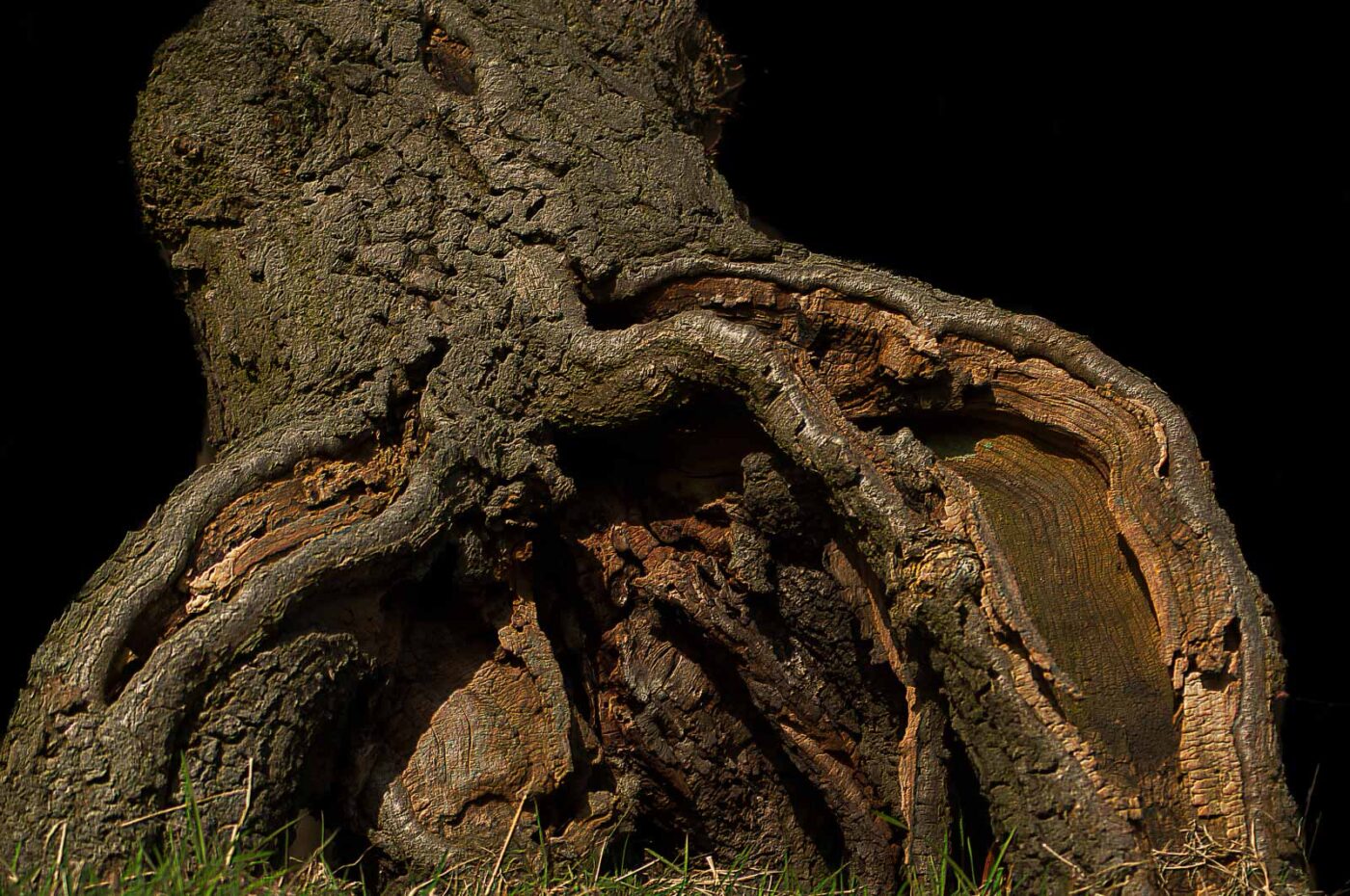 2017-03-16 - NSG Brandheide Recklinghausen