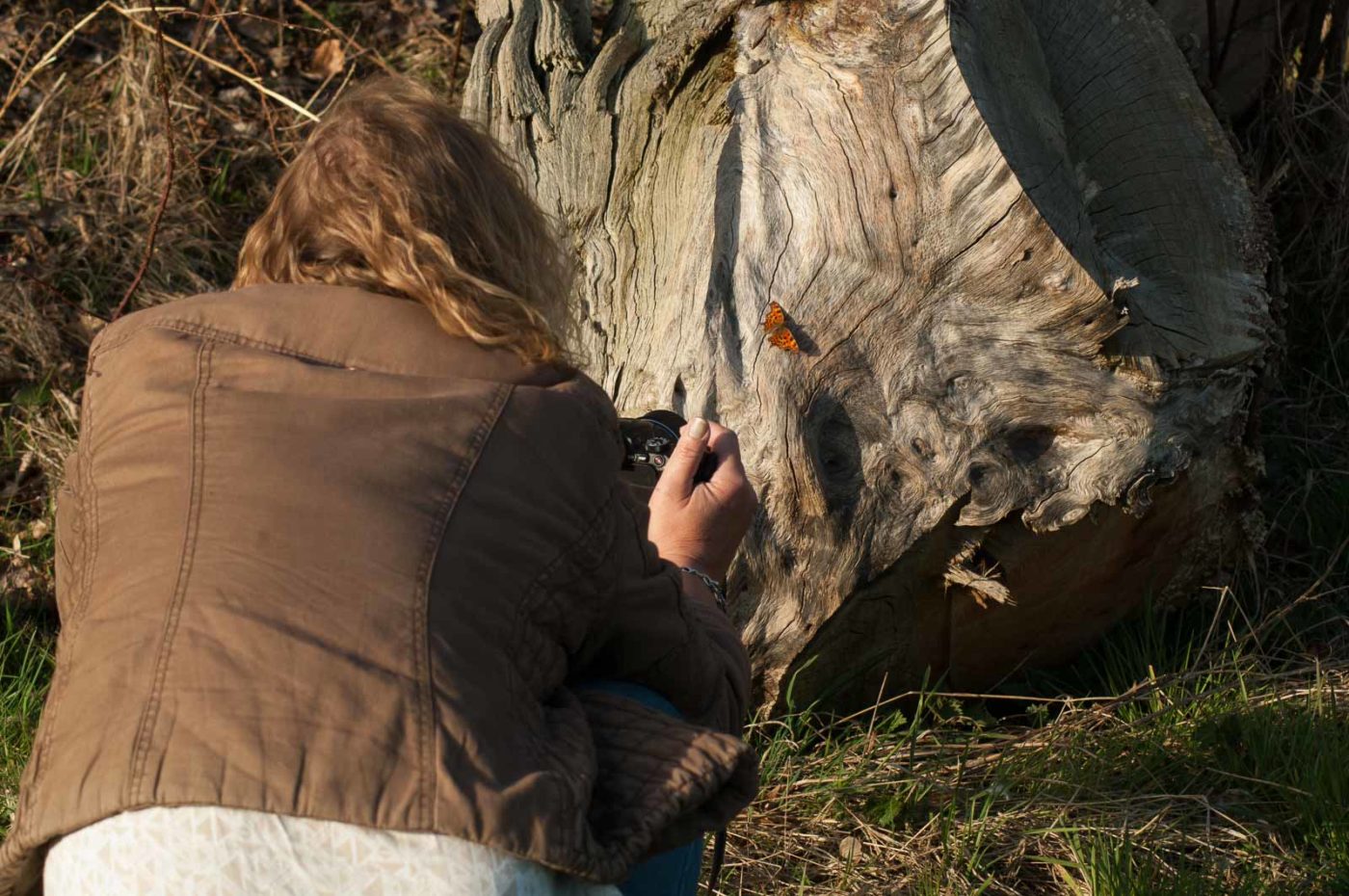 2017-03-16 - NSG Brandheide Recklinghausen