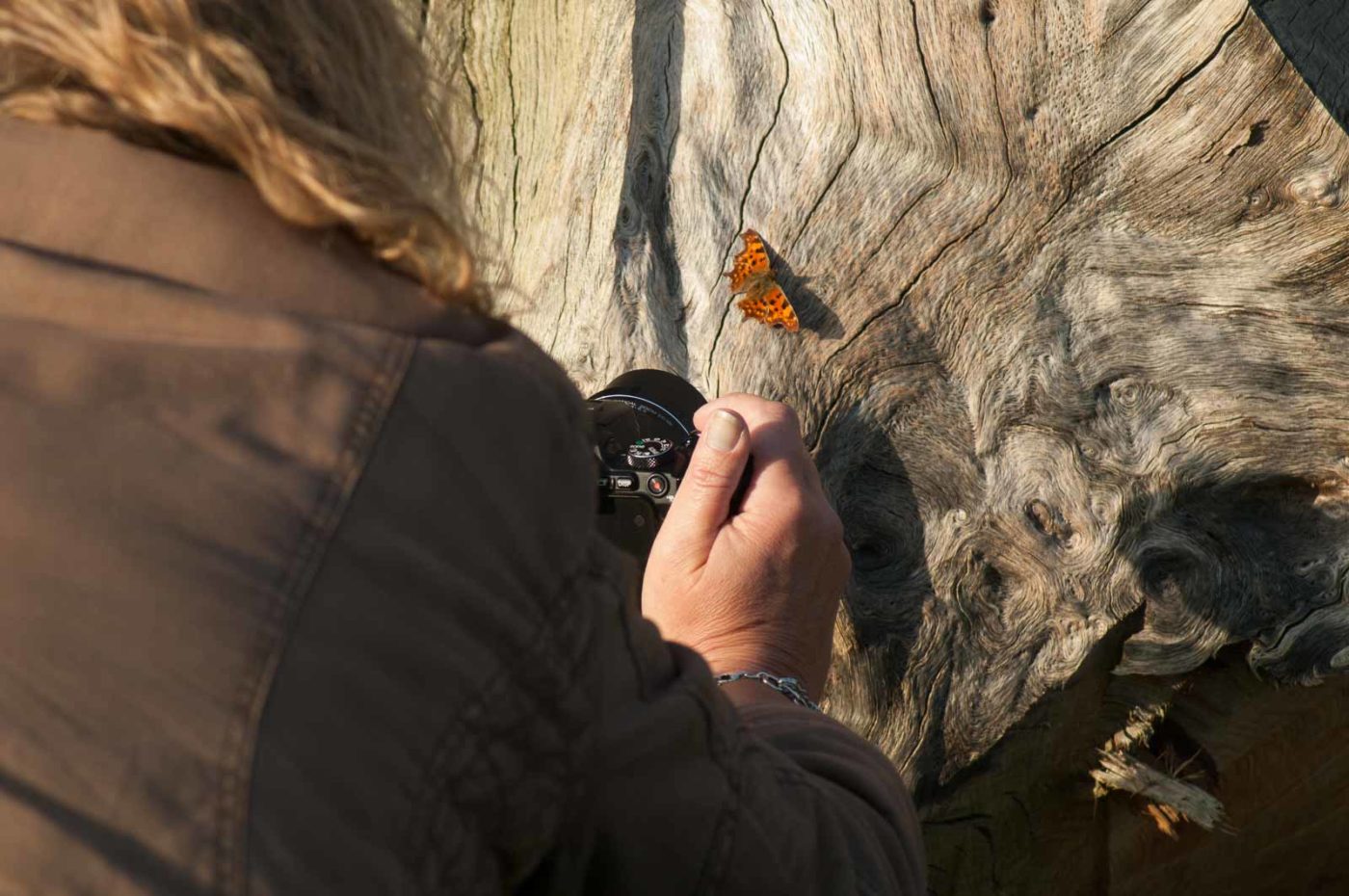 2017-03-16 - NSG Brandheide Recklinghausen