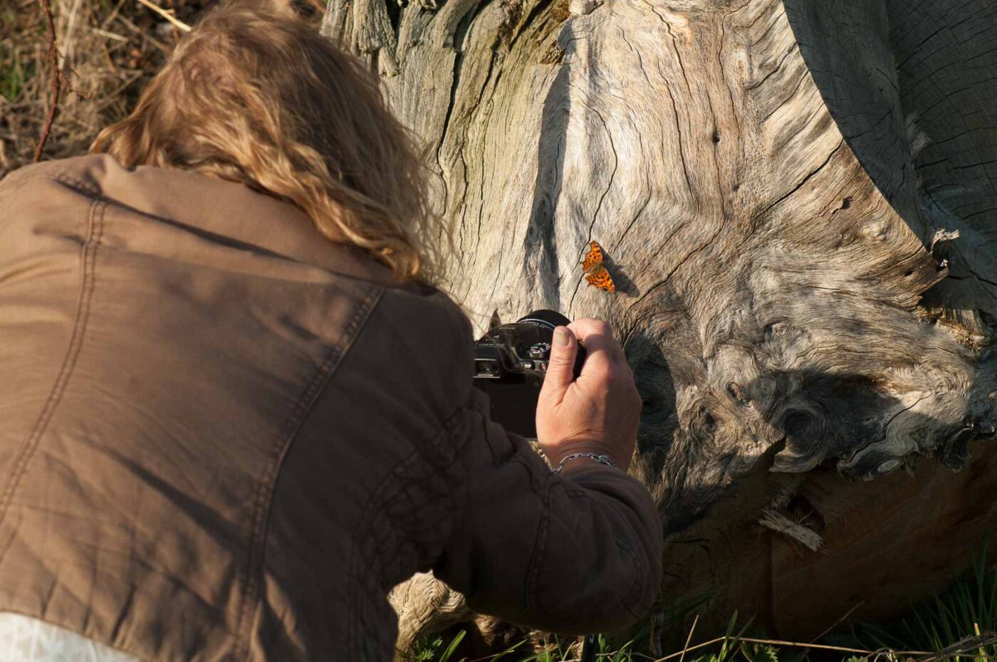 2017-03-16 - NSG Brandheide Recklinghausen