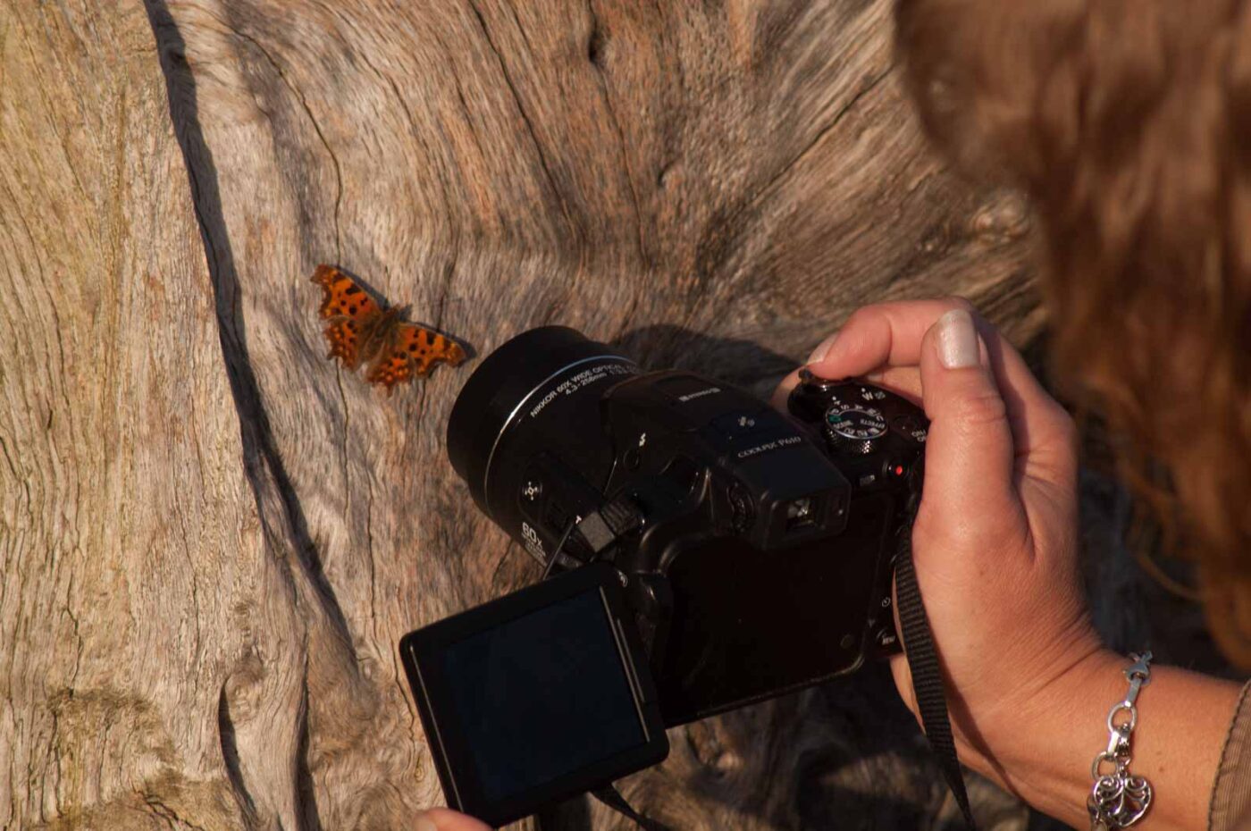 2017-03-16 - NSG Brandheide Recklinghausen