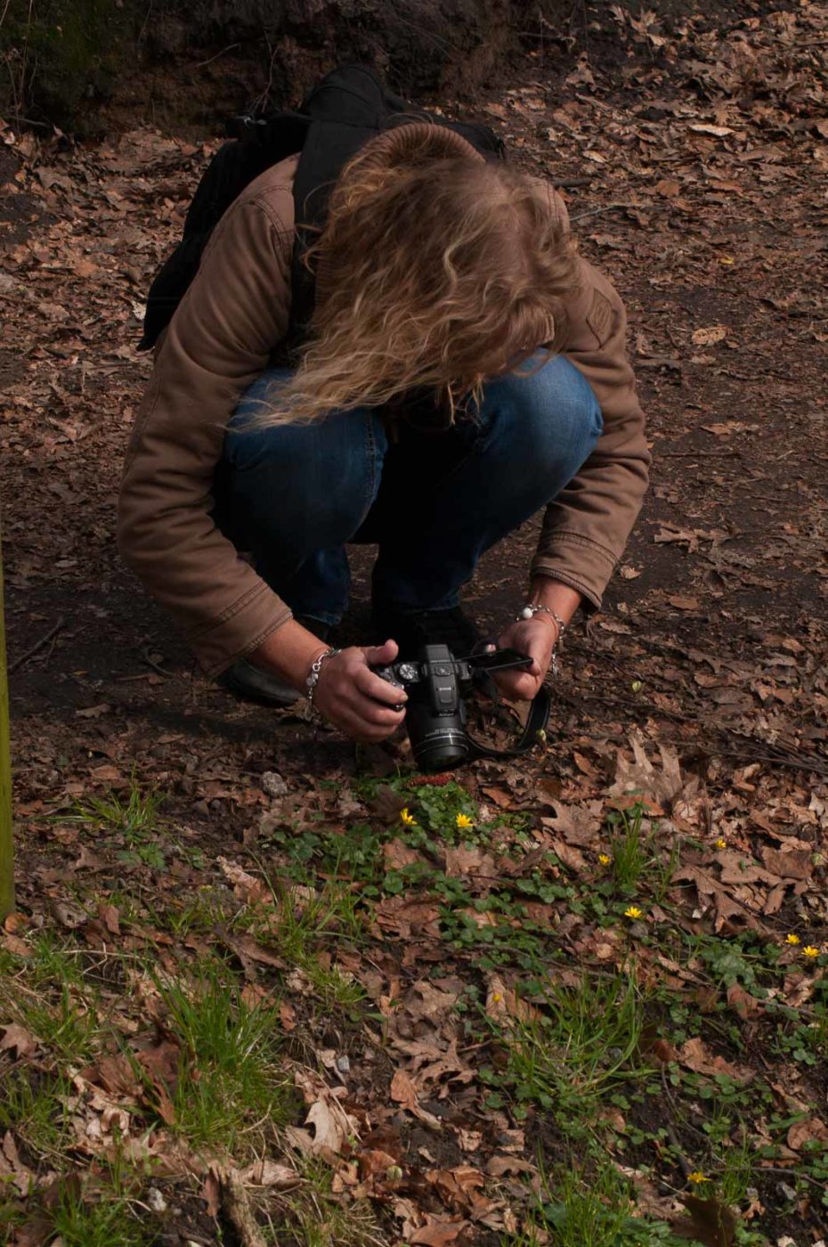 2017-03-22 - NSG Brandheide Recklinghausen