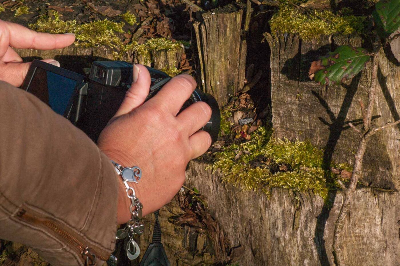 2017-03-25 - NSG Brandheide Recklinghausen