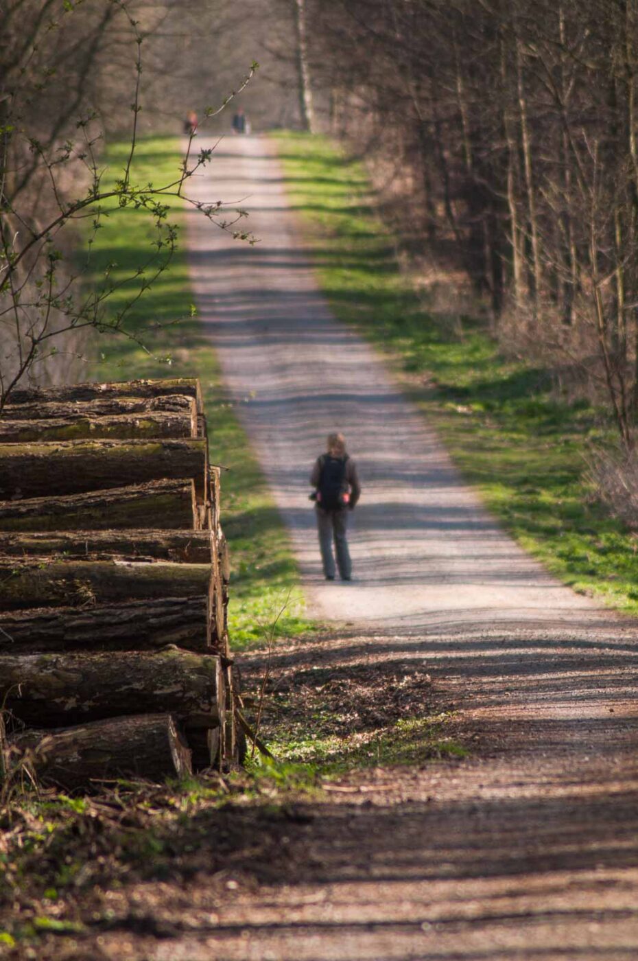 2017-03-28 - NSG Brinksknapp Recklinghausen