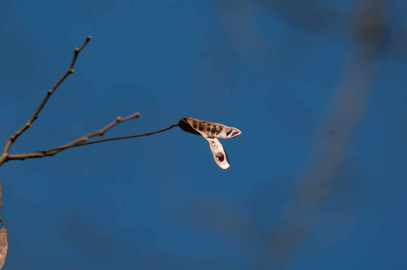 2017-03-28 - NSG Brinksknapp Recklinghausen