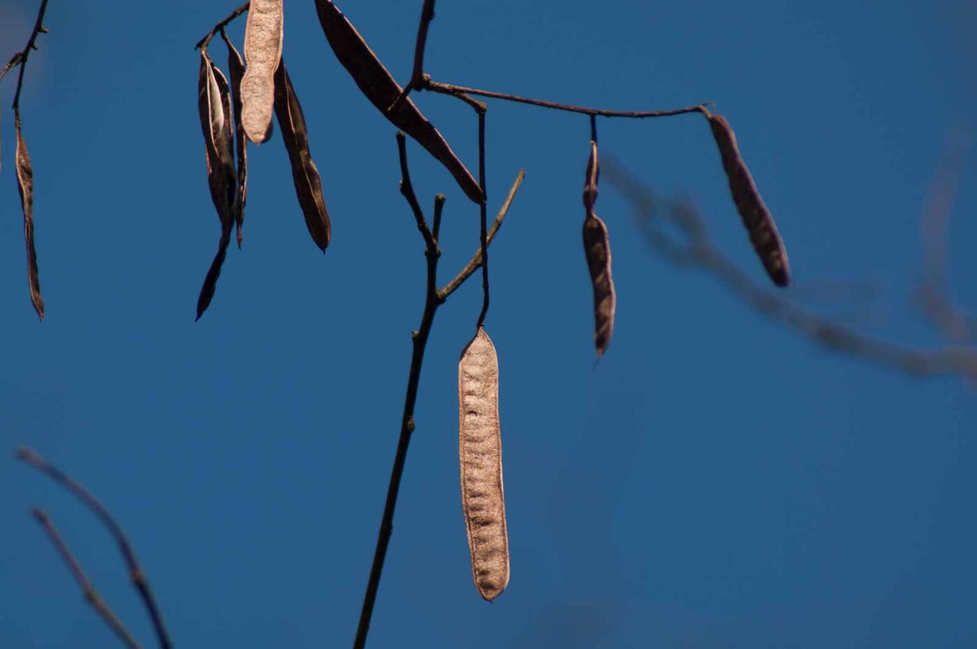 2017-03-28 - NSG Brinksknapp Recklinghausen